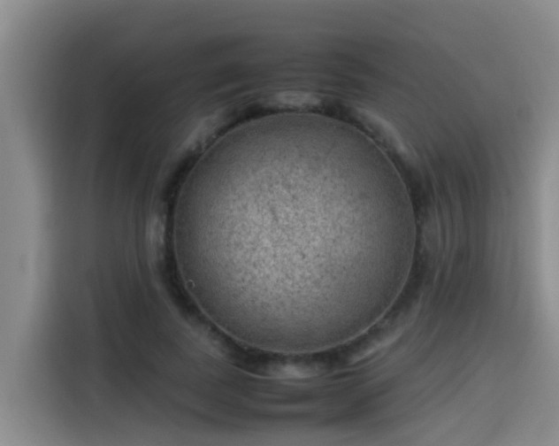 X0000115580739200911171009