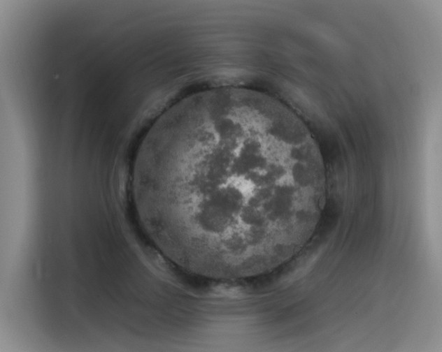 X0000115580742200911171009