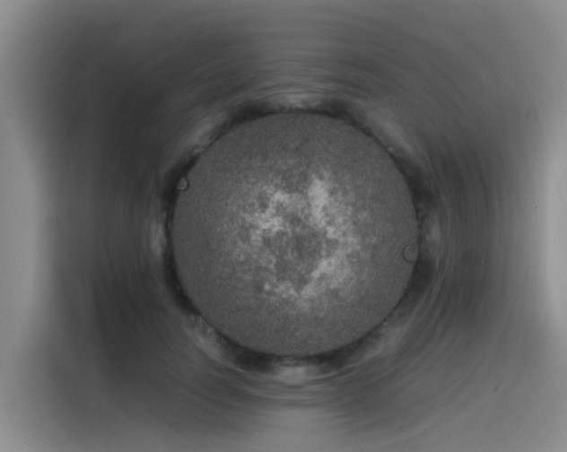 X0000115580746200911171009