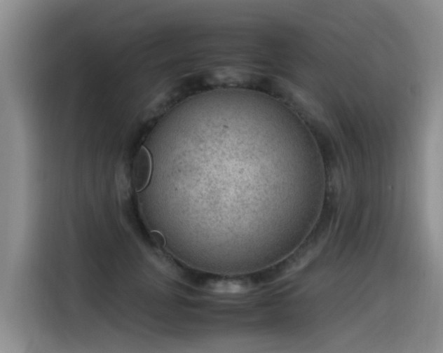 X0000115580751200911171009