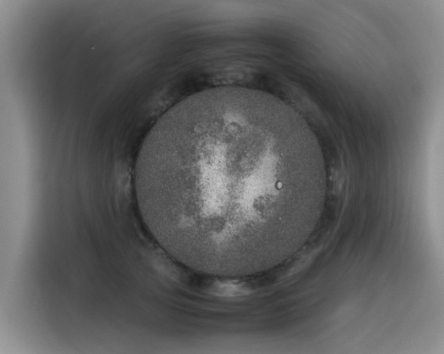 X0000115580753200911171009