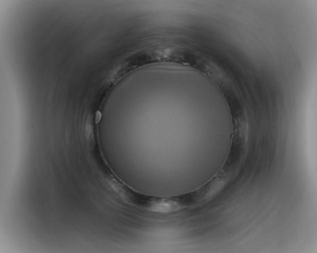 X0000115580754200911171009