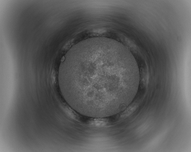 X0000115580758200911171009