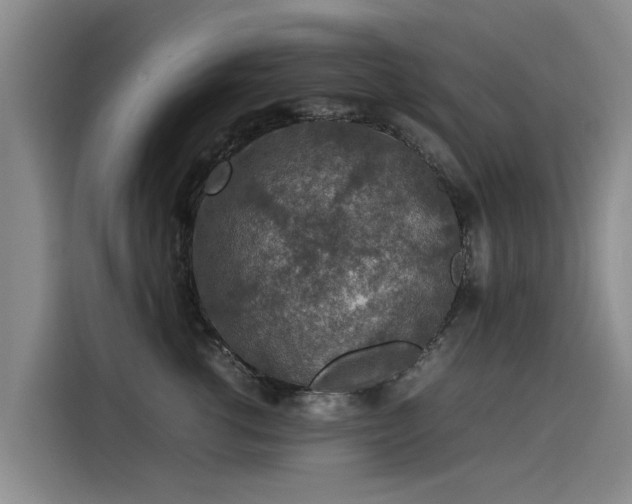 X0000115580762200911171009