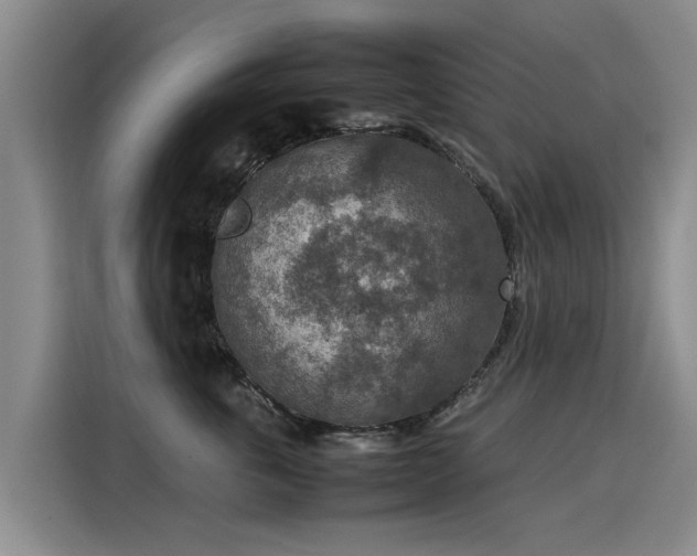 X0000115580763200911171009