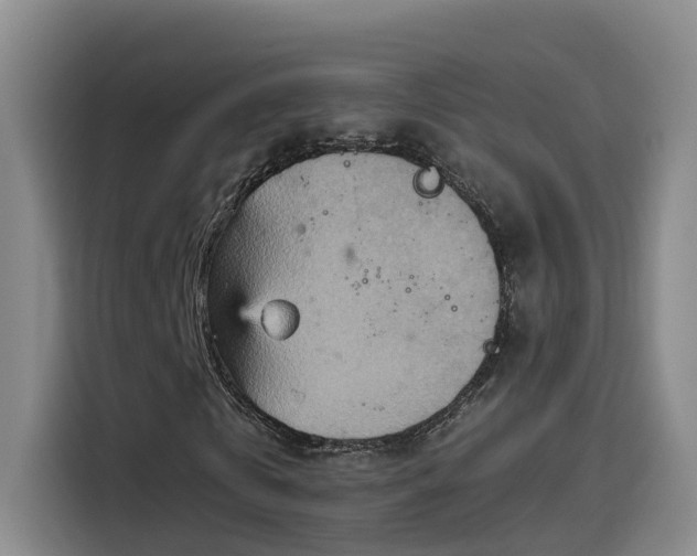 X0000115580769200911171009