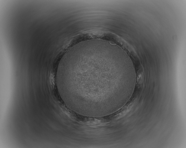 X0000115580772200911171009