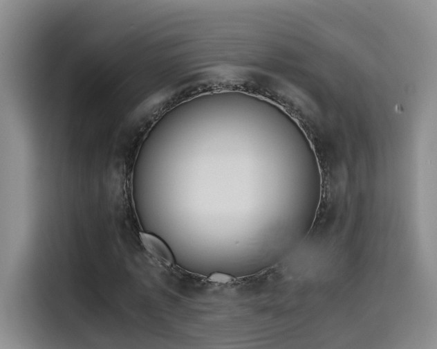 X0000115580773200911171009