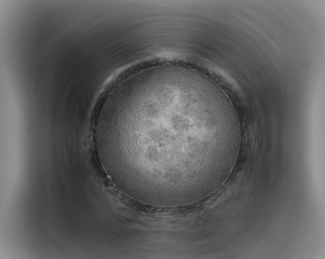 X0000115580776200911171009