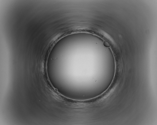 X0000115580777200911171009