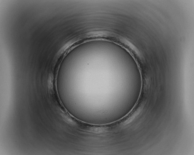 X0000115580778200911171009