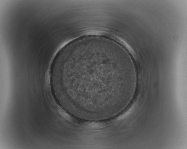 X0000115580779200911171009