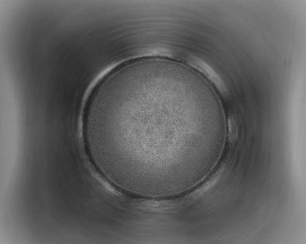 X0000115580780200911171009