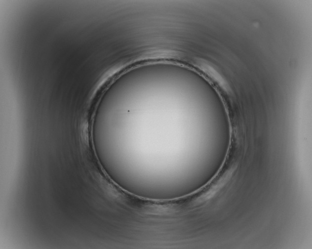 X0000115580781200911171009