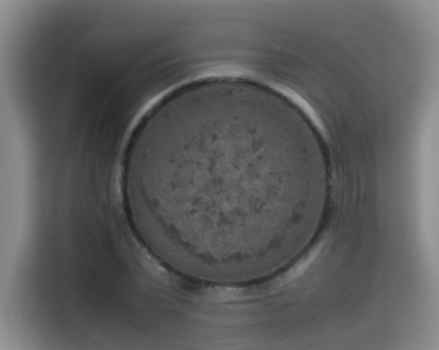 X0000115580783200911171009