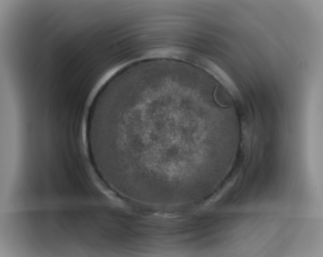 X0000115580788200911171009