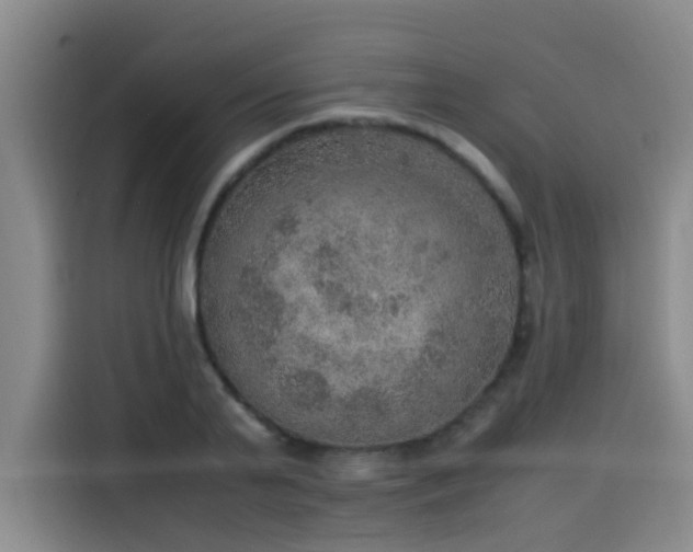 X0000115580791200911171009