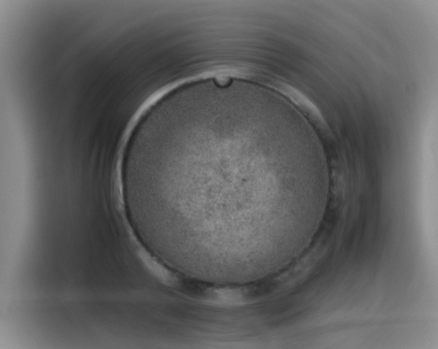 X0000115580792200911171009