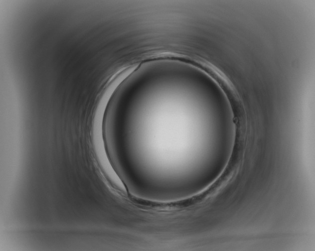 X0000115580793200911171009