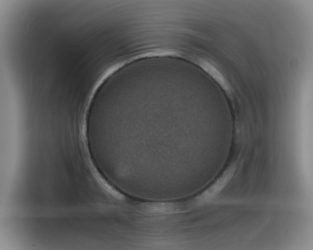 X0000115580797200911171009