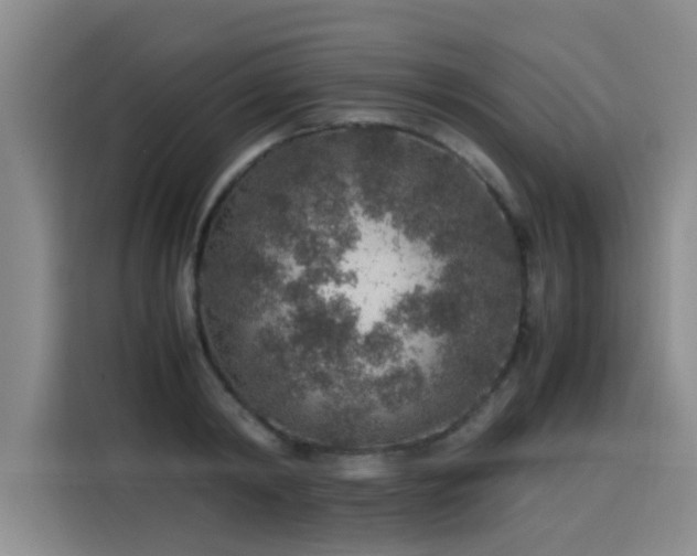 X0000115580798200911171009