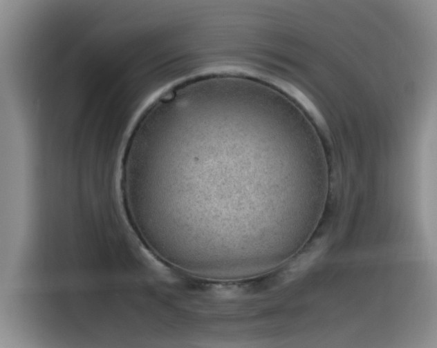 X0000115580799200911171008