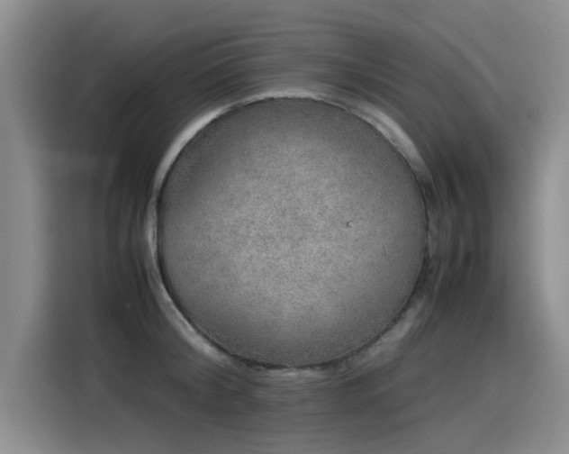 X0000115580804200911171008