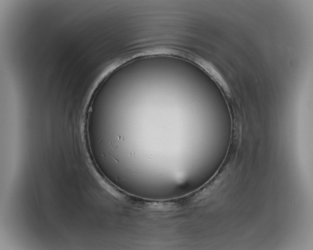 X0000115580805200911171008