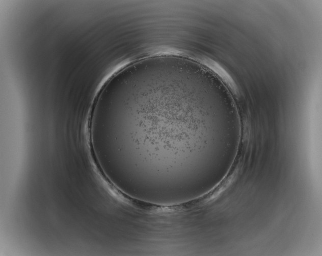 X0000115580806200911171008