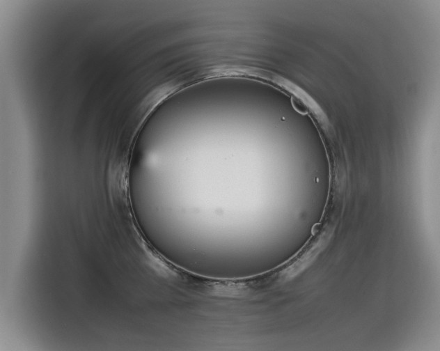 X0000115580809200911171008