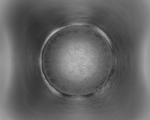 X0000115580811200911171008