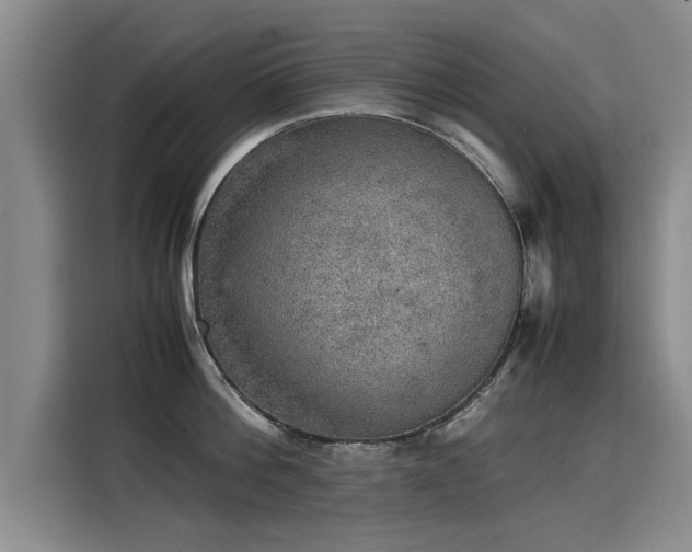 X0000115580812200911171008