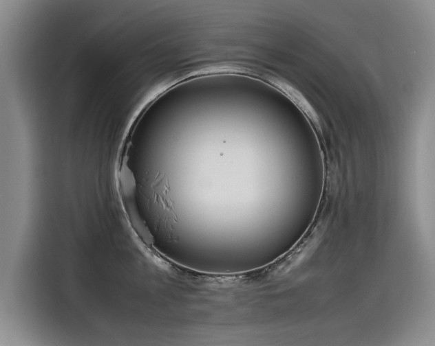 X0000115580813200911171008