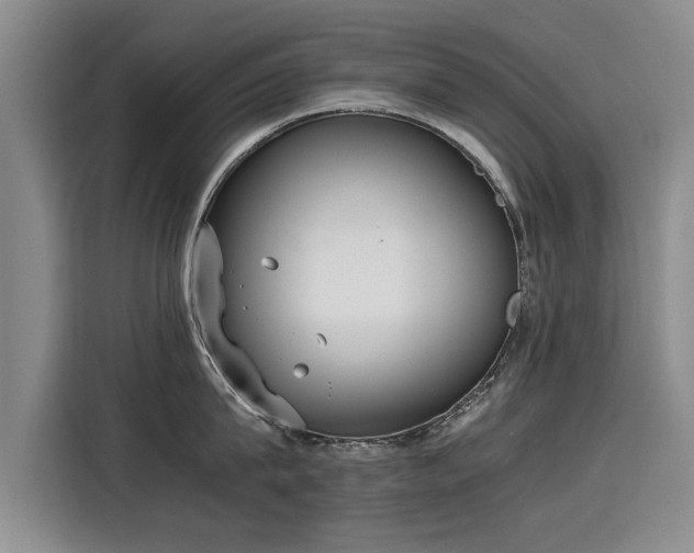 X0000115580815200911171008