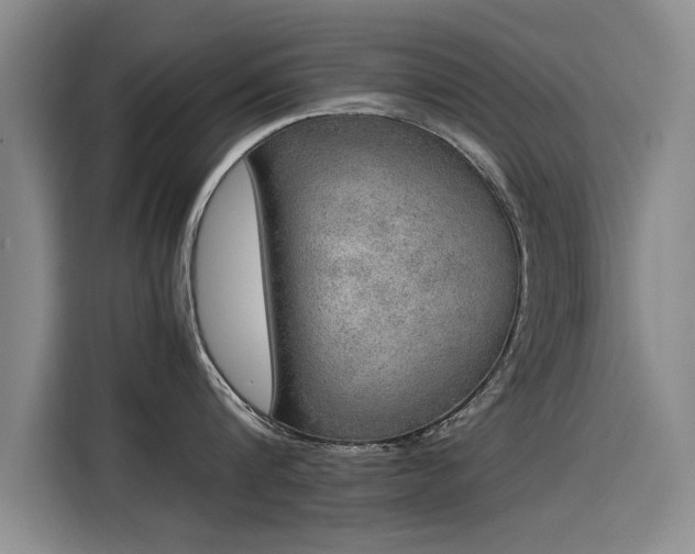 X0000115580816200911171008