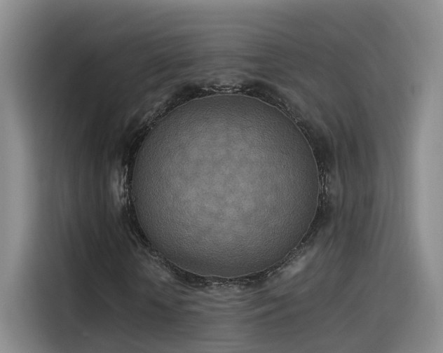 X0000115580818200911171008