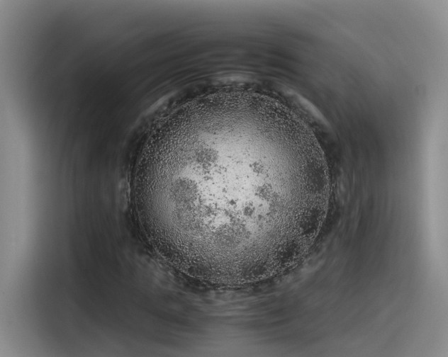 X0000115580821200911171008