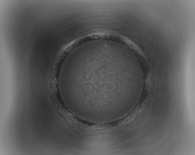 X0000115580822200911171008