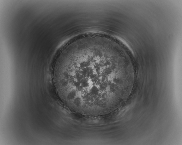 X0000115580823200911171008