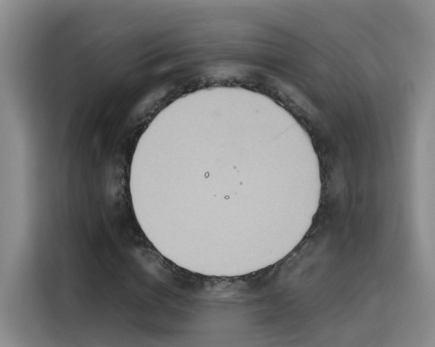 X0000115580824200911171008