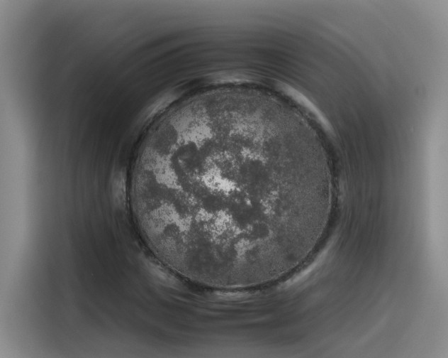 X0000115580825200911171008