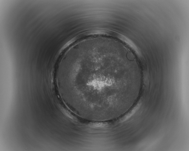 X0000115580826200911171008