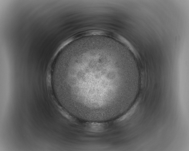 X0000115580827200911171008