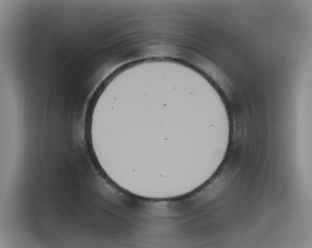 X0000115580828200911171008