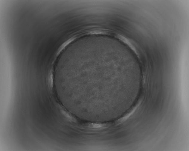 X0000115580829200911171008