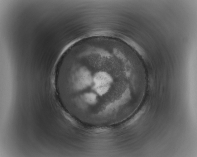 X0000115580830200911171008