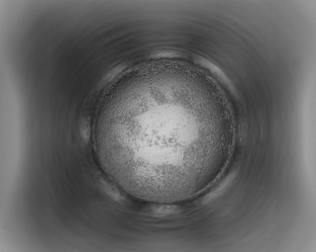 X0000115580833200911171008