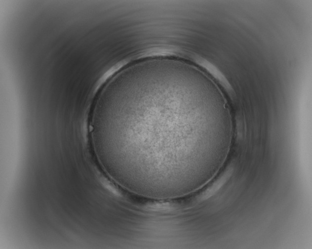 X0000115580834200911171008