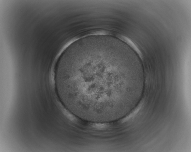 X0000115580835200911171008