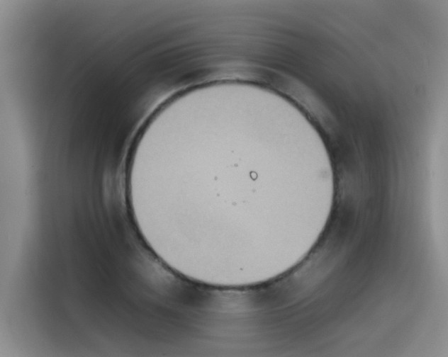 X0000115580836200911171008